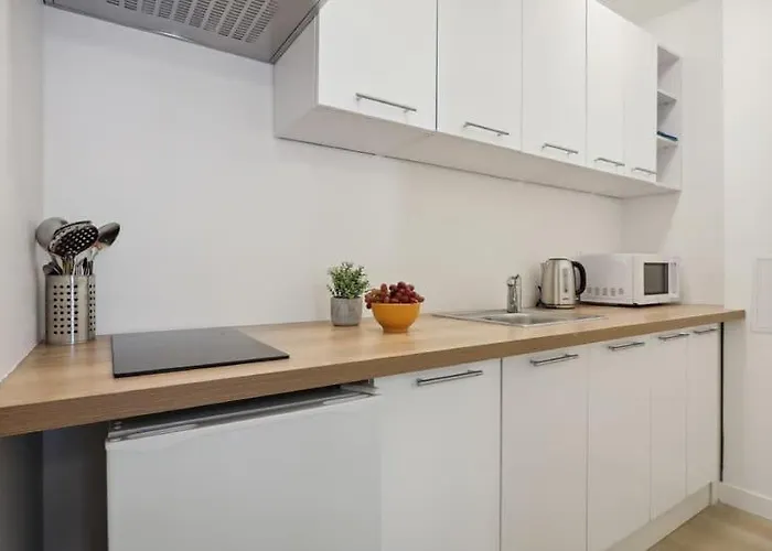 Appartement Cosy And Renovated In Heart Of Xvieme Parijs